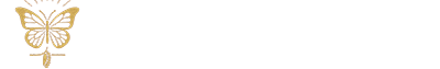 Terapias DDS